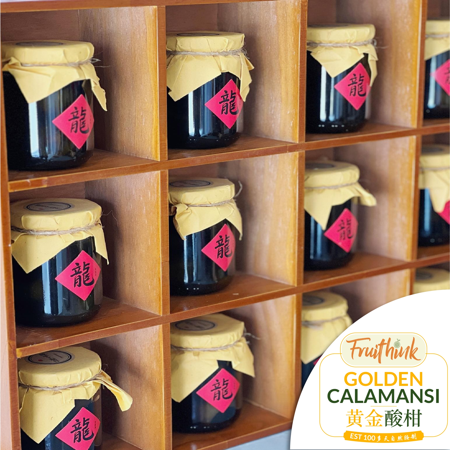 Golden Calamansi   [黄金酸柑]