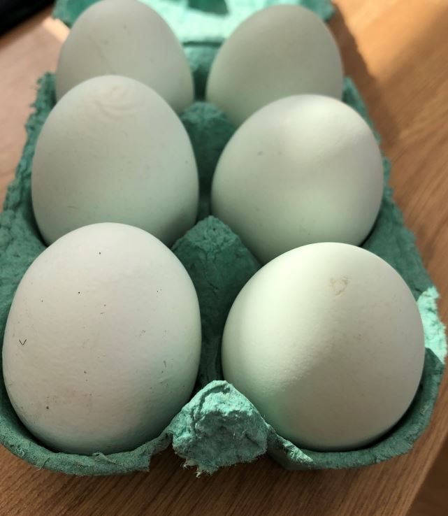 30ct LARGE BLUE - Free Range Eggs