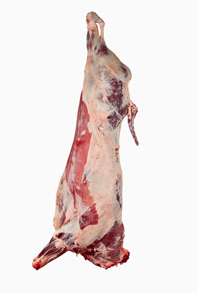 Whole Beef Carcass