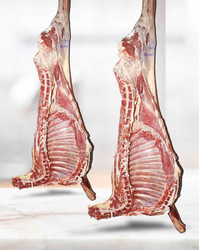 Half Goat (Side of Goat) 