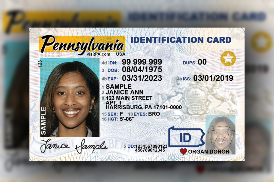 ID Cards