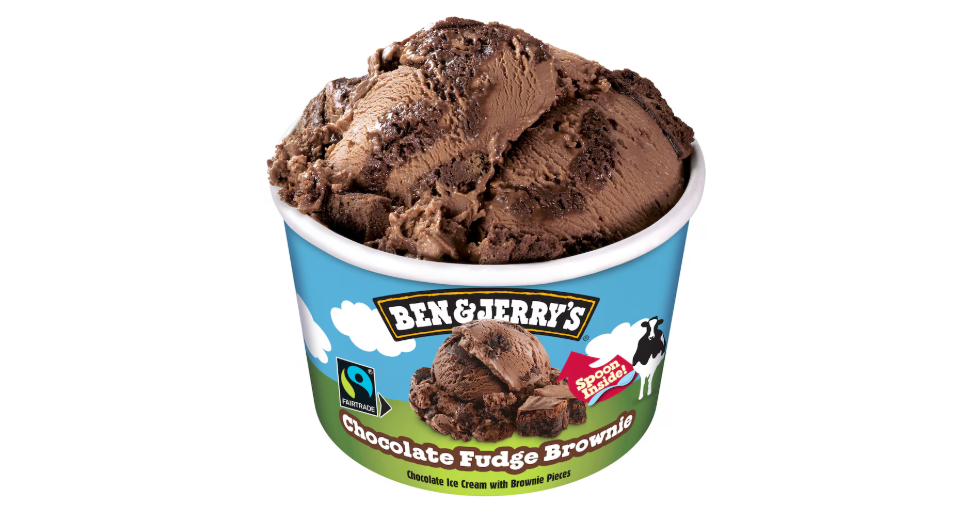 Ben & Jerry's Chocolate Fudge Brownie 100ml