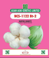 NCS-1122 Bt-2 Cotton Hybrid Seeds