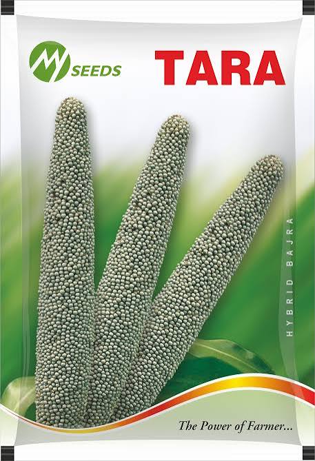 TARA Hybrid Bajra Seeds