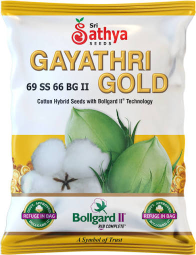 Gayathri Gold Cotton Hybrid Seeds
