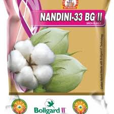 Nandini-33 BG II Cotton Seeds