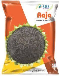 Raja Hybrid Sunflower Seeds