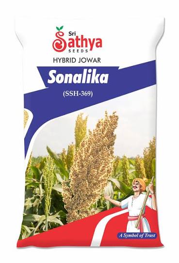 Hybrid Jowar Sonalika Seeds