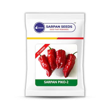 Sarpan PIKO-2 Chilli Seeds