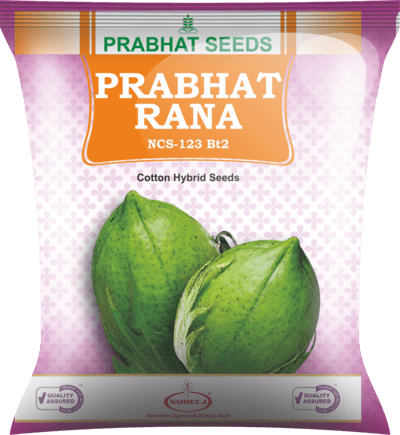 PRABHAT RANA NCS-123 Bt2