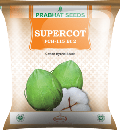 Supercot PCH-115 Bt 2 Cotton Hybrid Seeds
