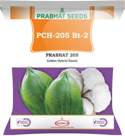 PCH-205 Bt-2 Cotton Hybrid Seeds