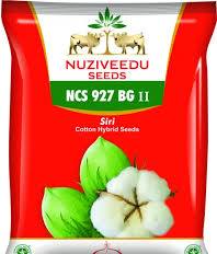 Nuziveedu Seeds NCS 927 BG II