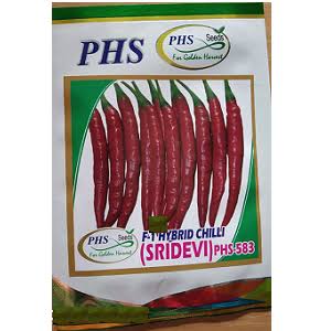 PHS Hybrid Chilli Seeds (Sridevi)