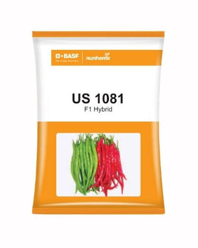 US 1081 F1 Hybrid Chilli Seeds