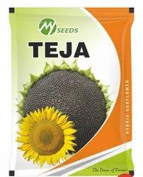 TEJA Sunflower Seeds
