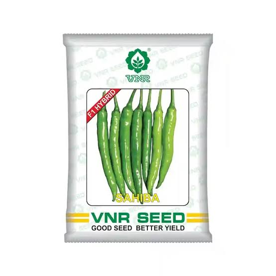 VNR Sahib Green Chilli Seeds