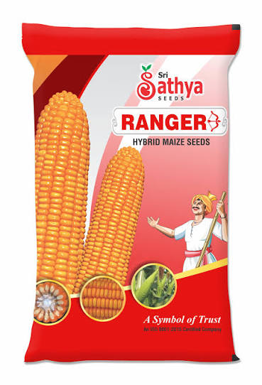 Ranger Hybrid Maize Seeds