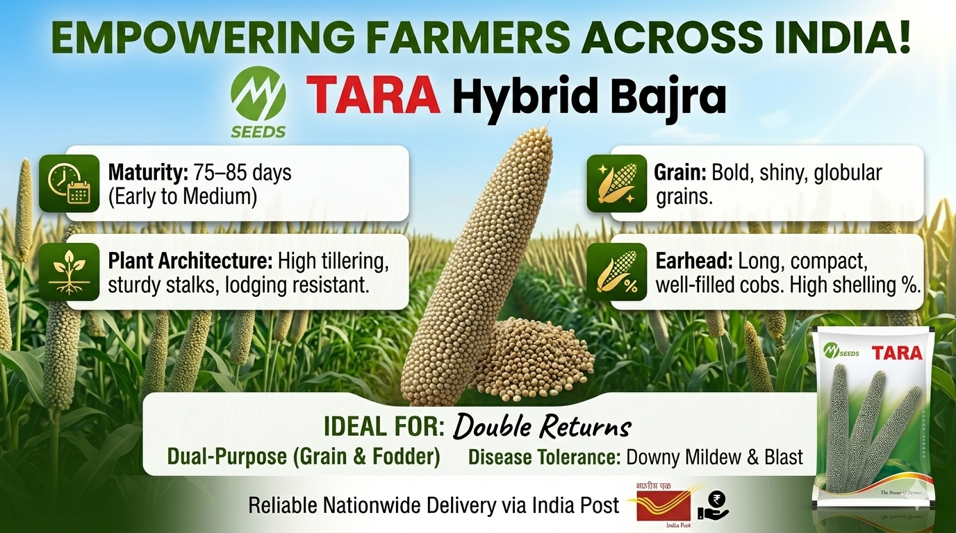 TARA Hybrid Bajra Seeds