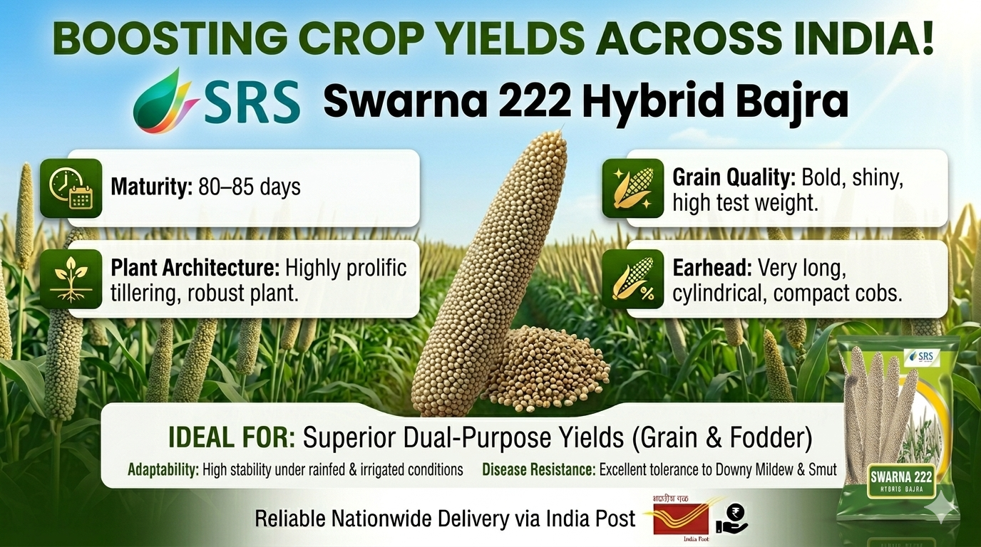 Swarna 222 Hybrid Bajra Seeds