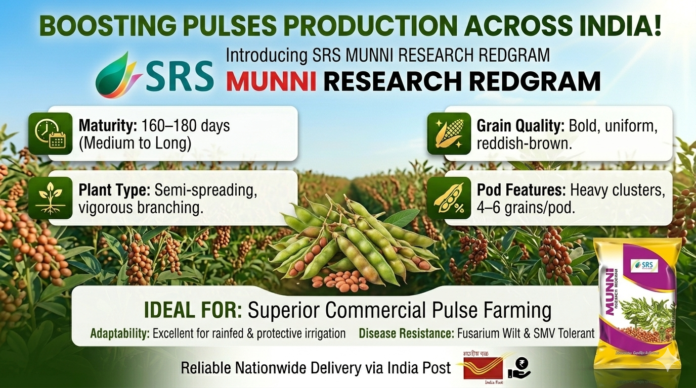 Munni Research Redgram Seeds