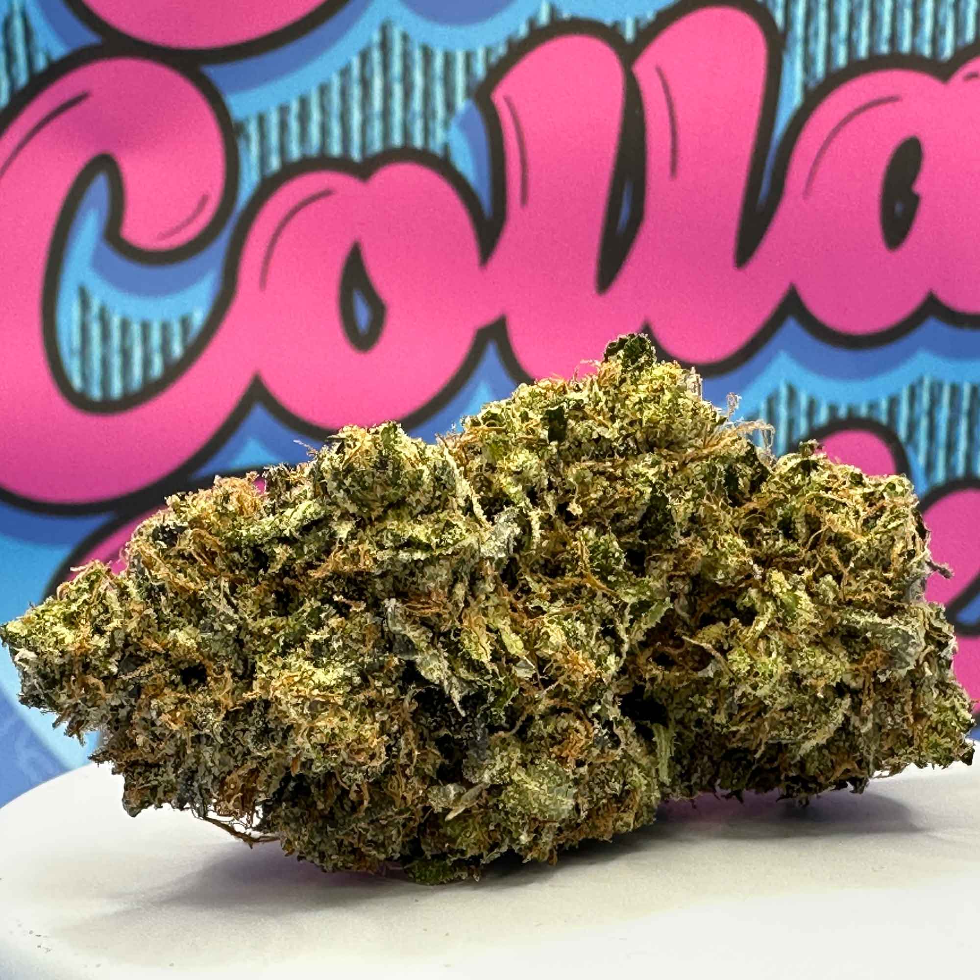 Pink Paradise