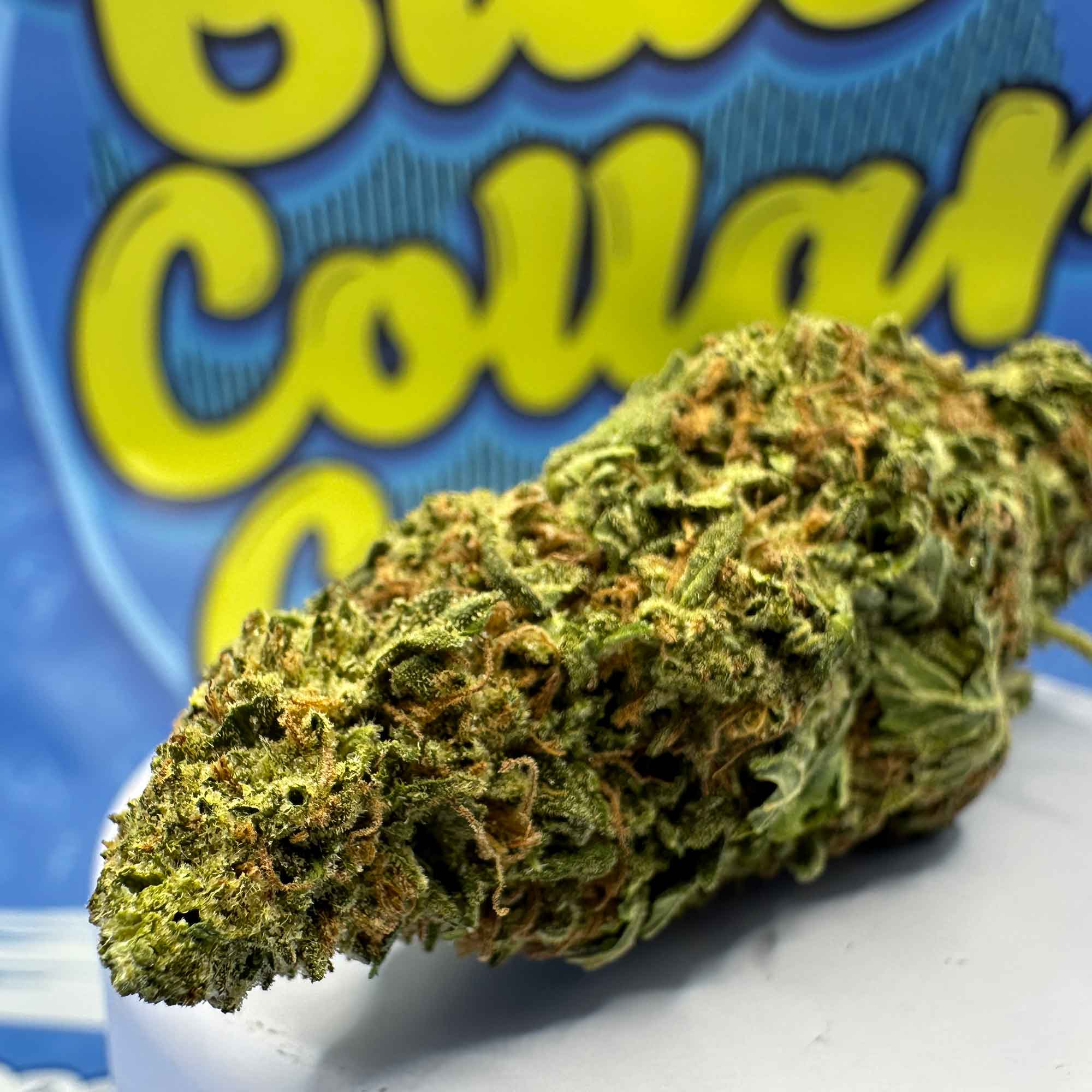Galactic OG