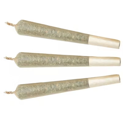 BCB Fruit Explosion - 3 x 1g