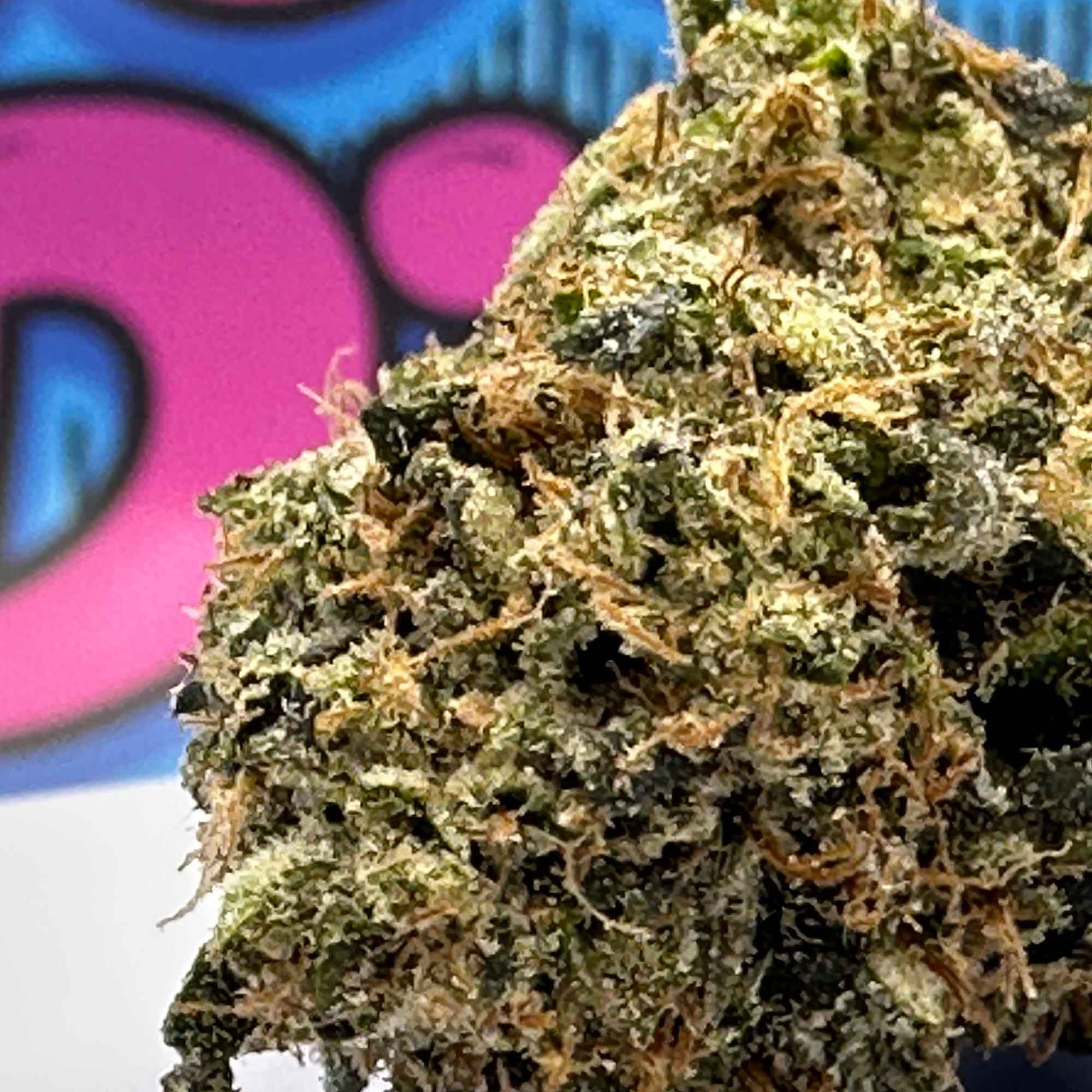 Pink Rockstar 