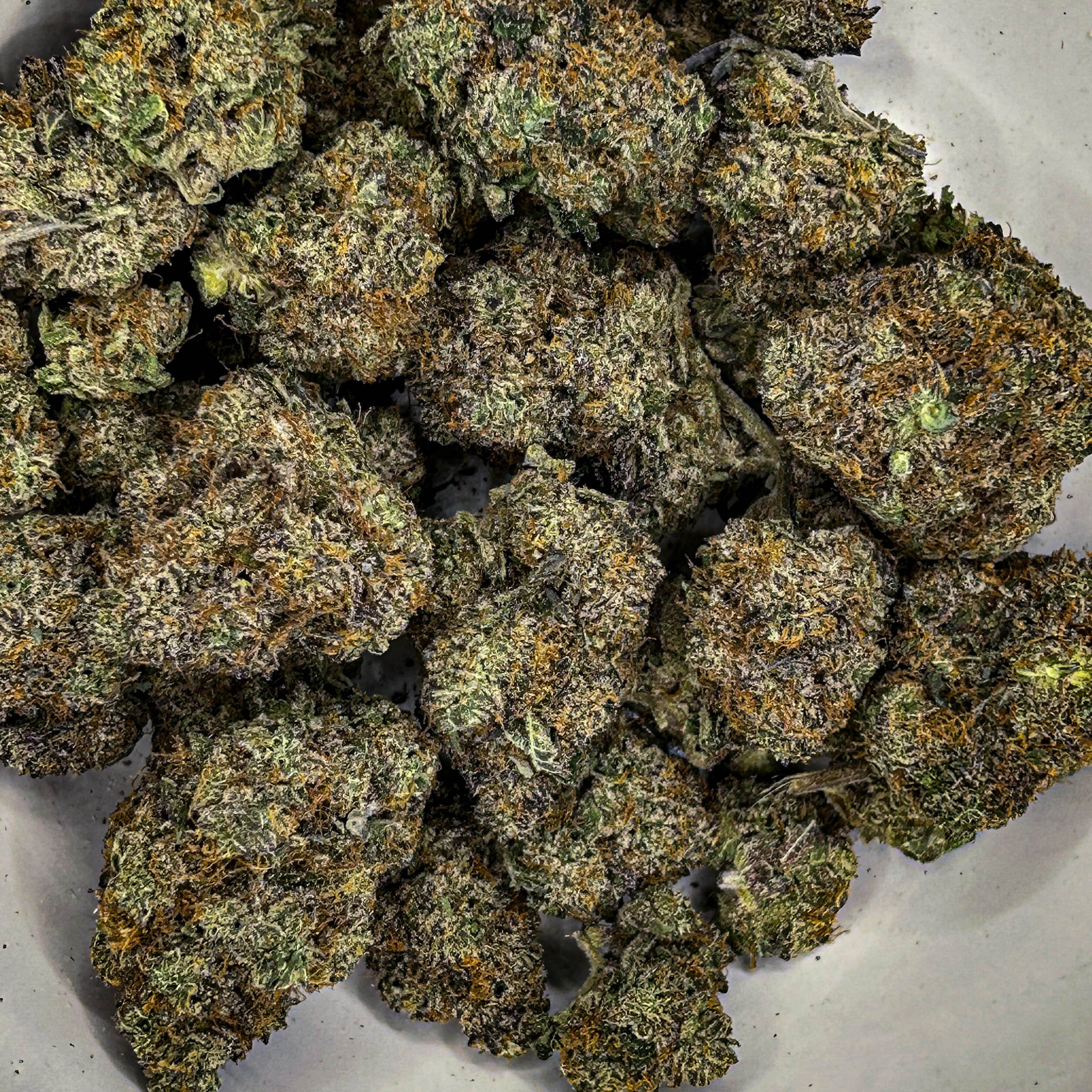 Key Lime Pie Cannabis