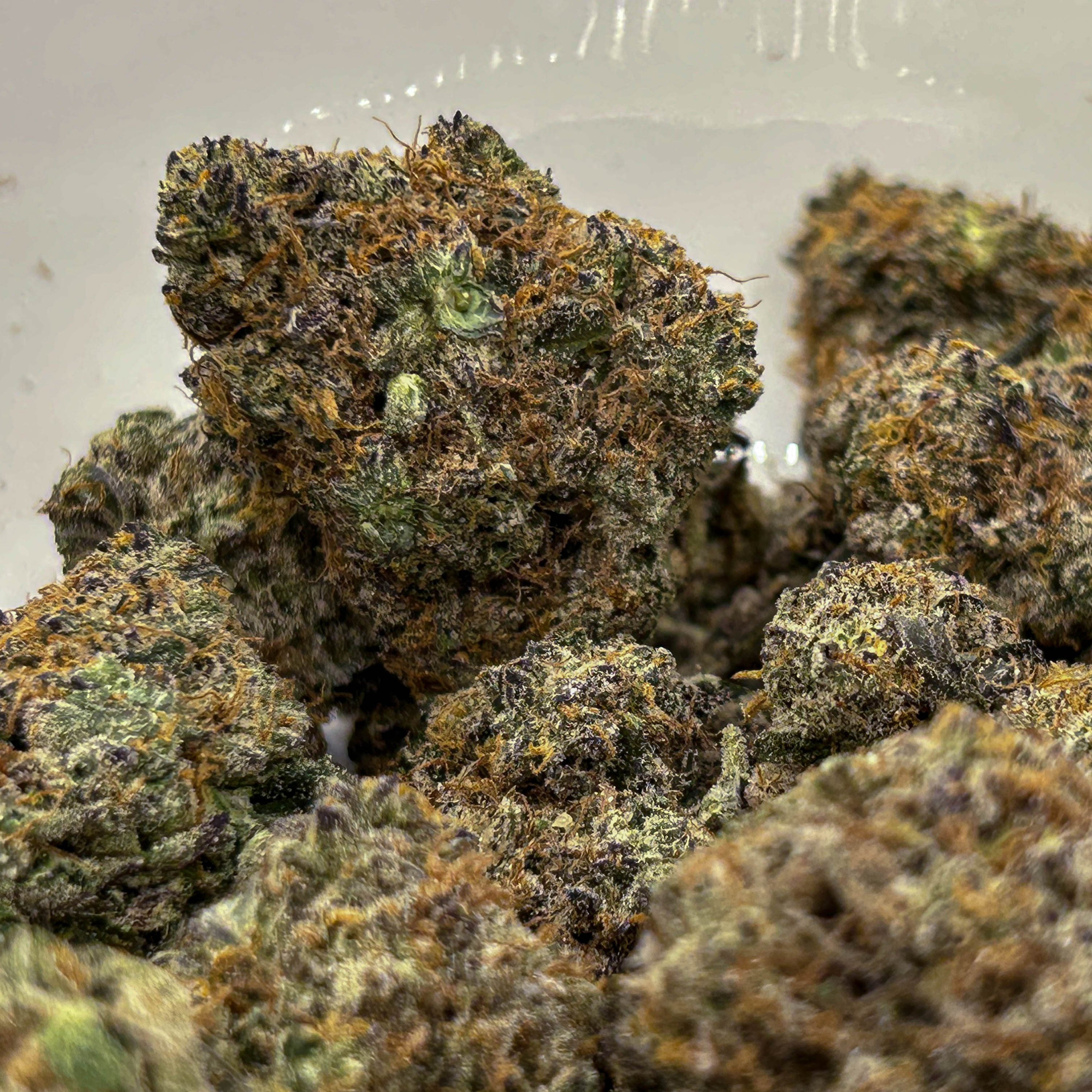 Key Lime Pie Cannabis