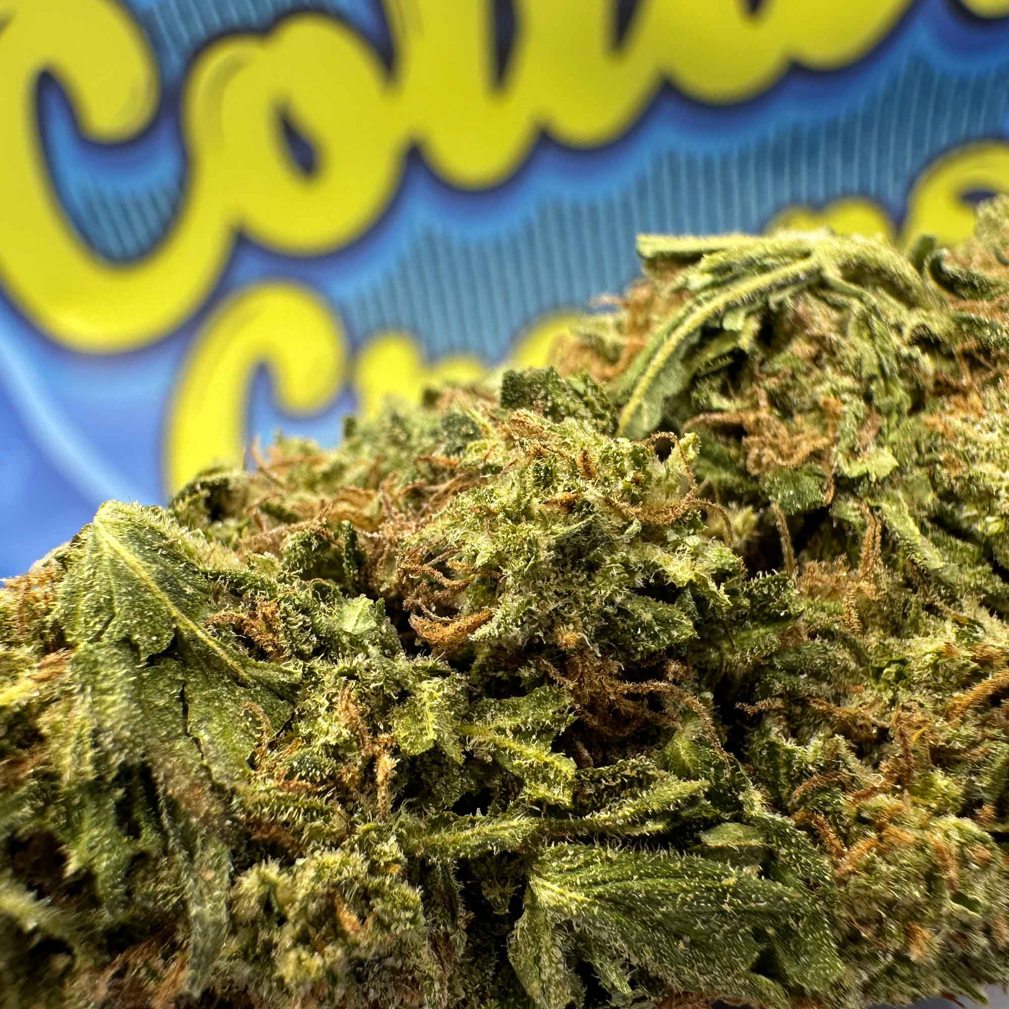 Galactic OG