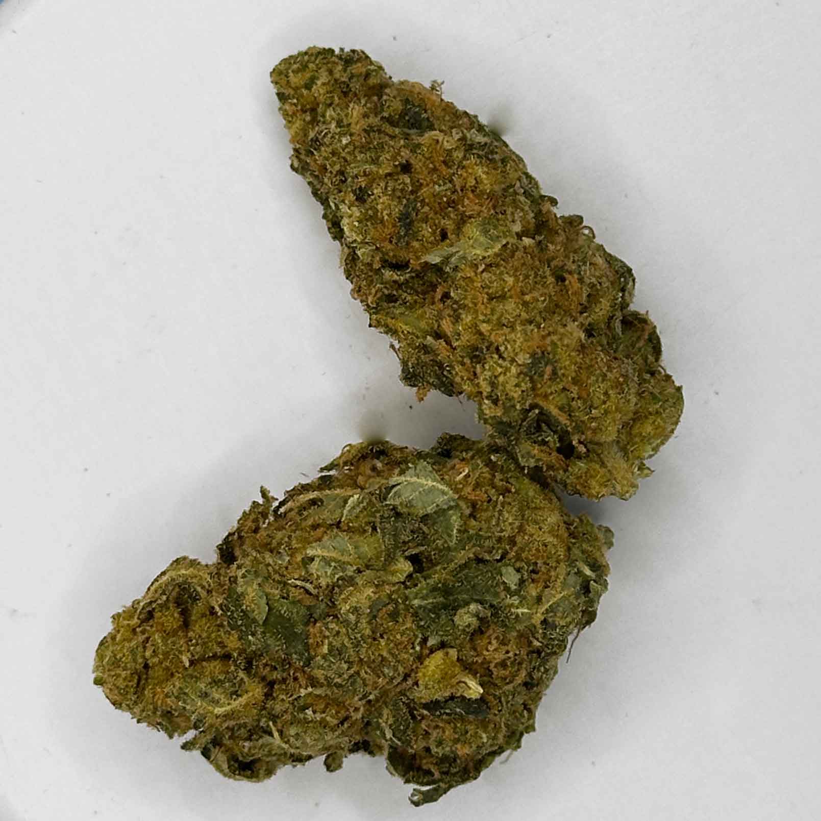 Space Cake