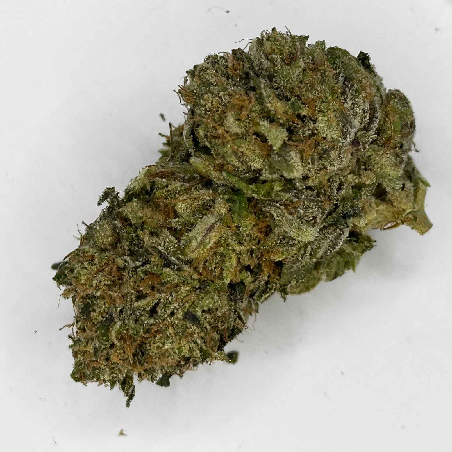 Pink Rockstar 