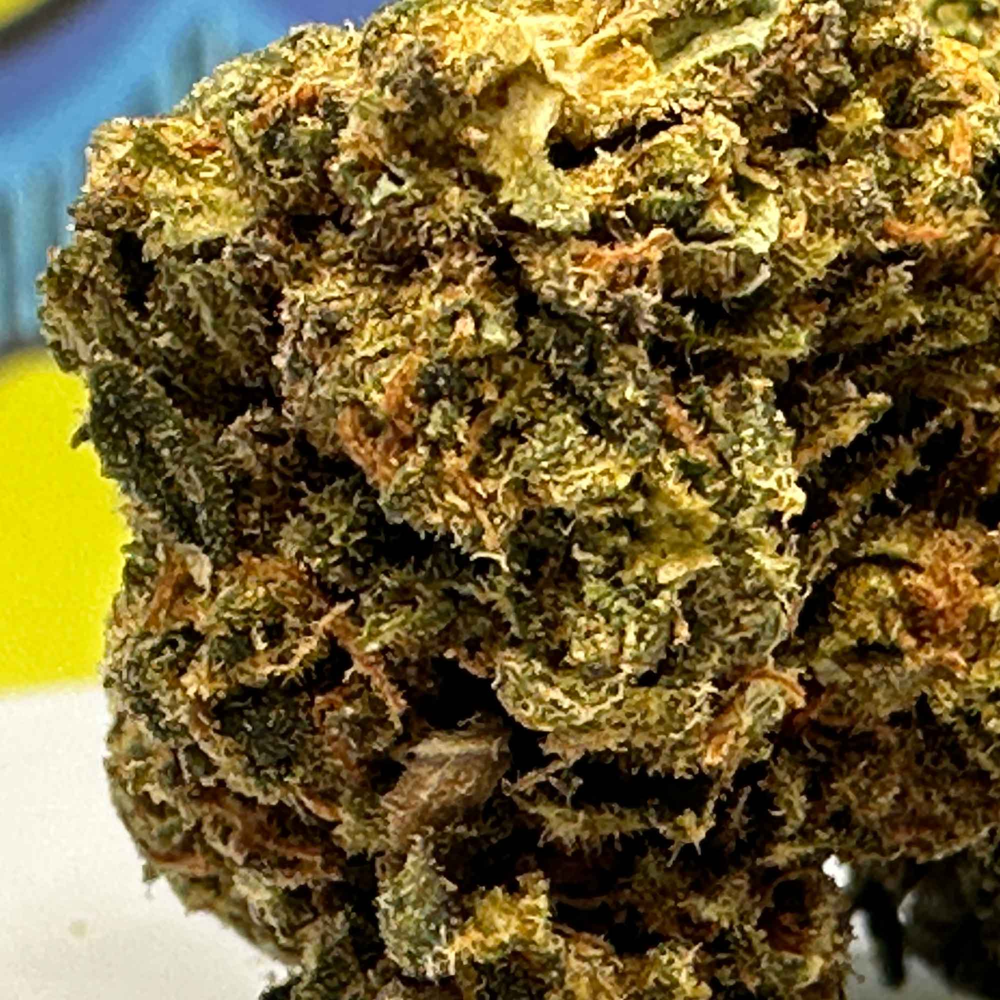 Skunk Haze