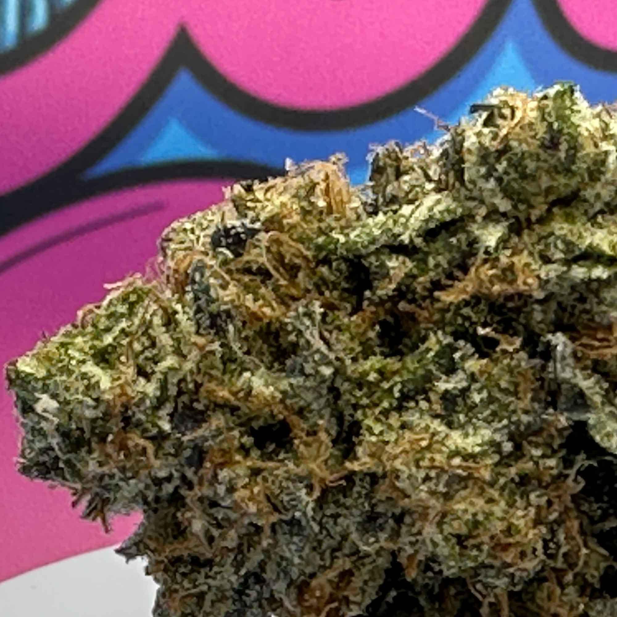 Pink Paradise
