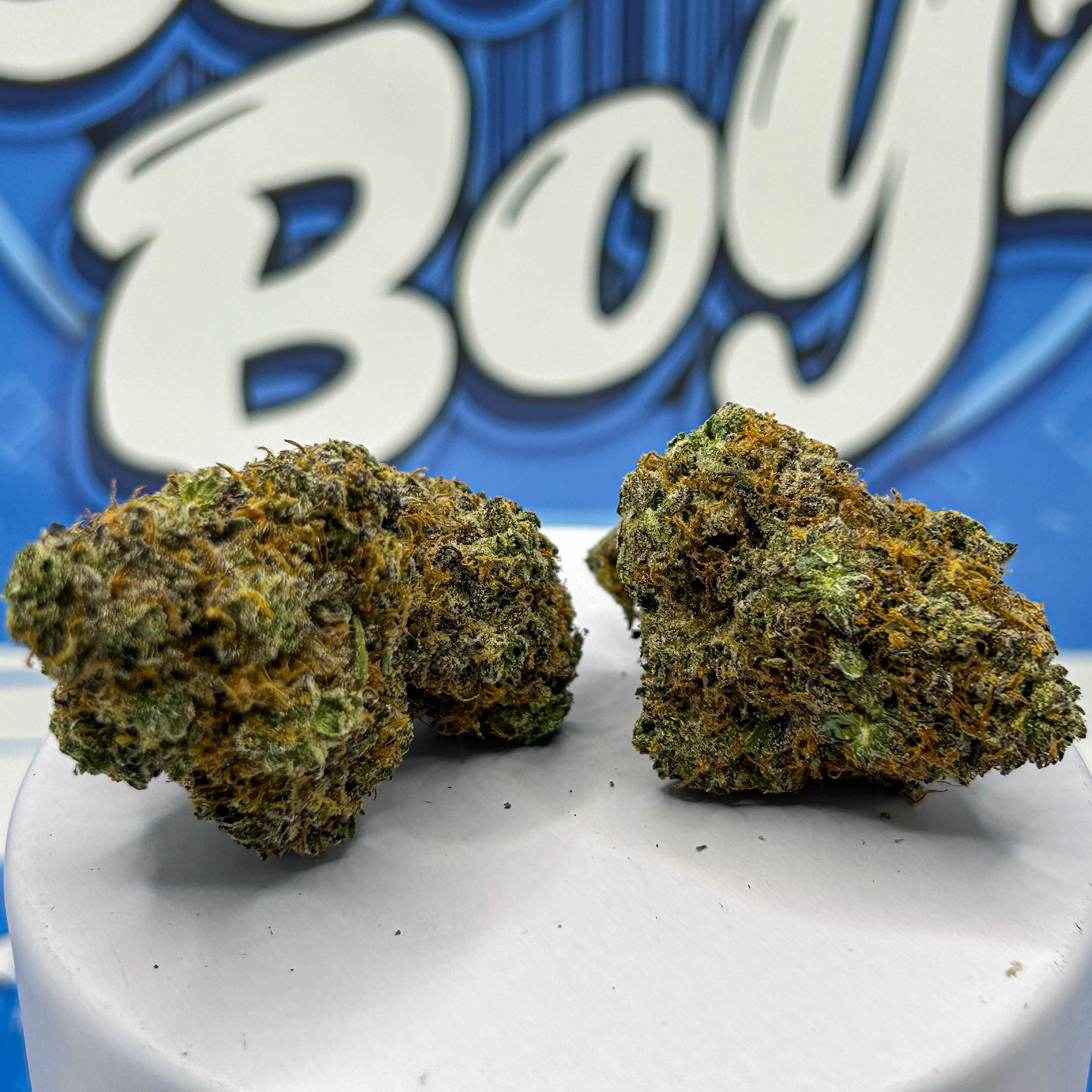 Key Lime Pie Cannabis