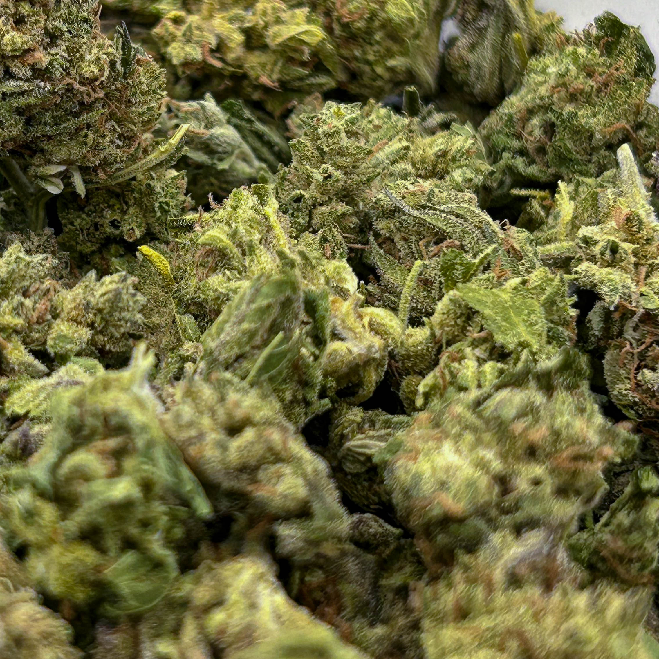 Fruit Rollup Cannabis Buds