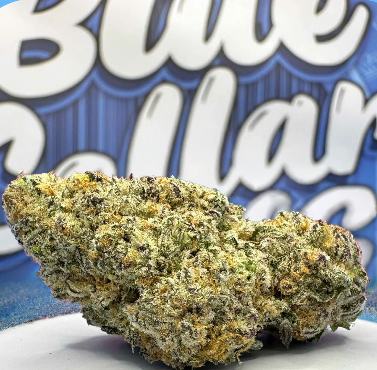 Purple Afghan