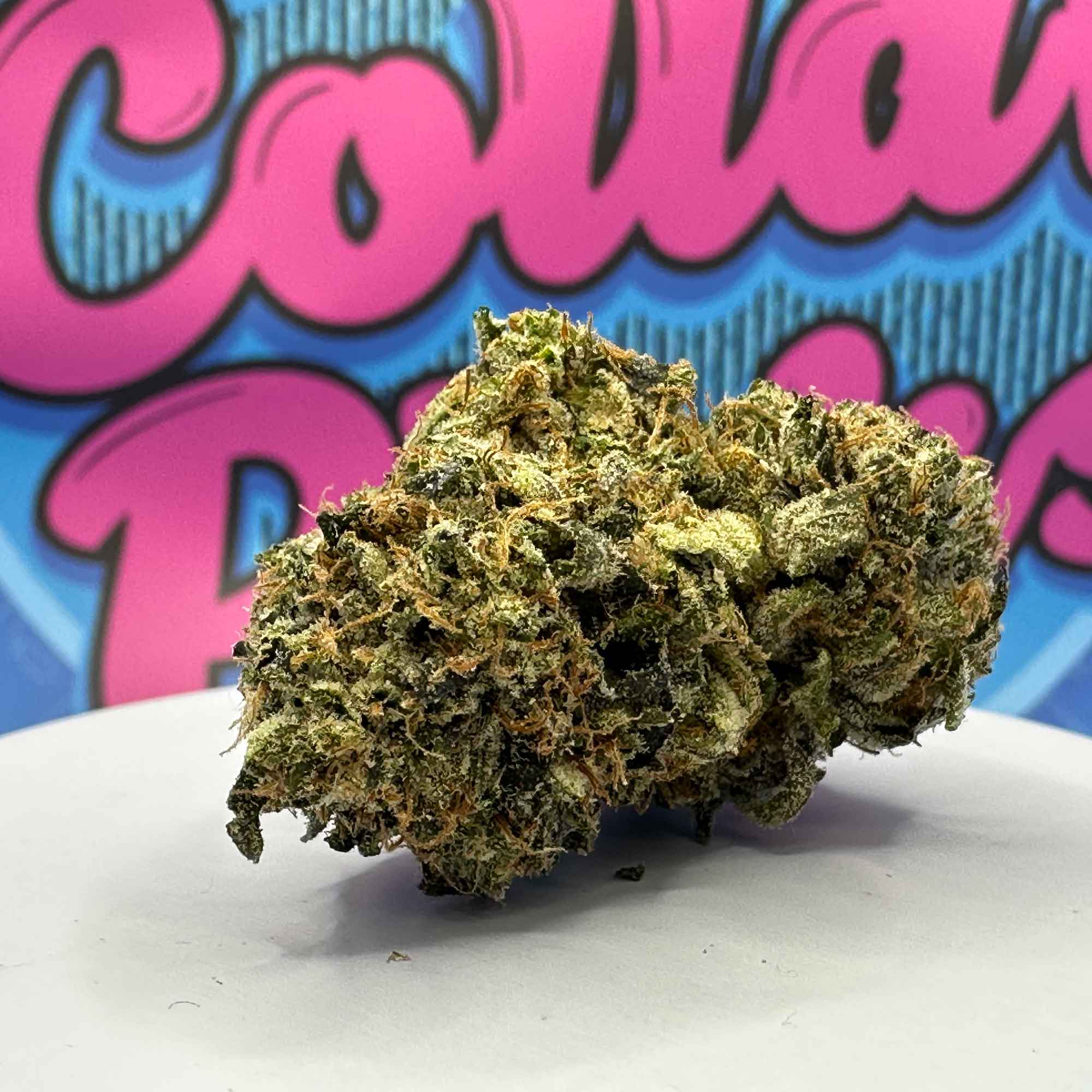 Pink Rockstar 