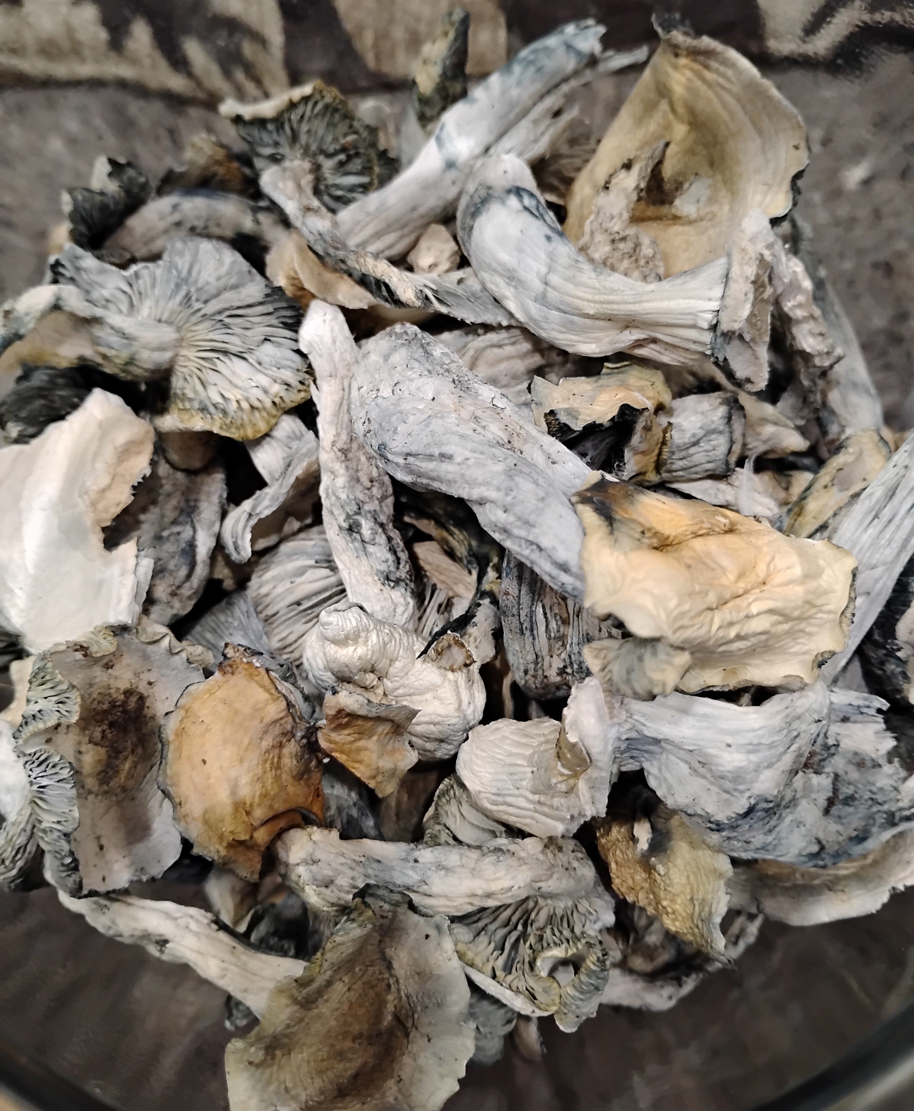 Golden Teacher Mushrooms