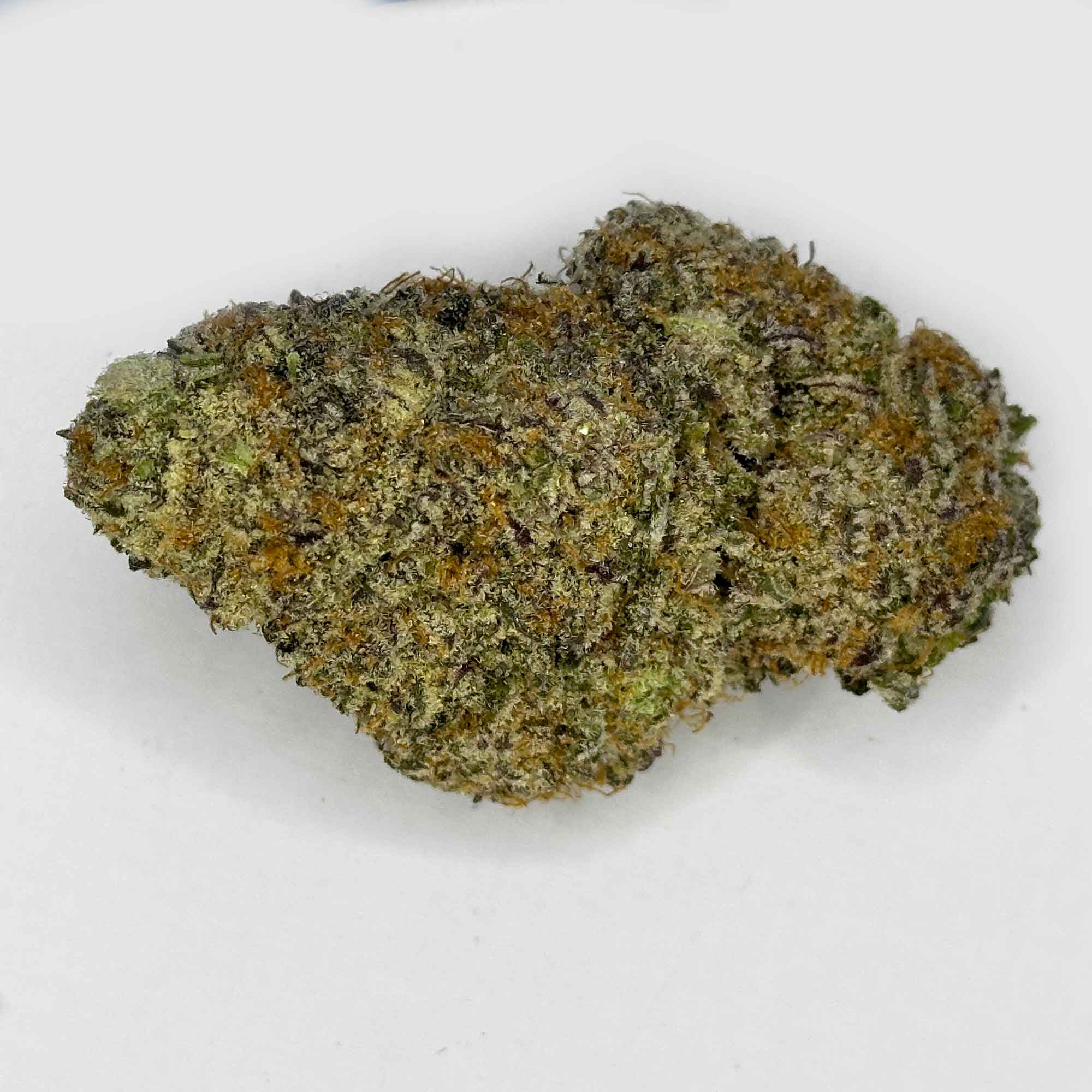 Purple Afghan
