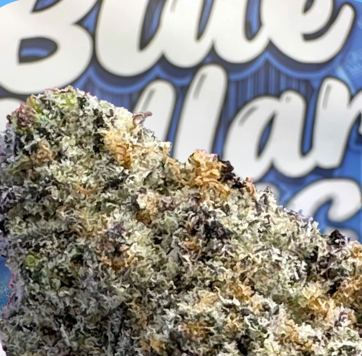Purple Afghan