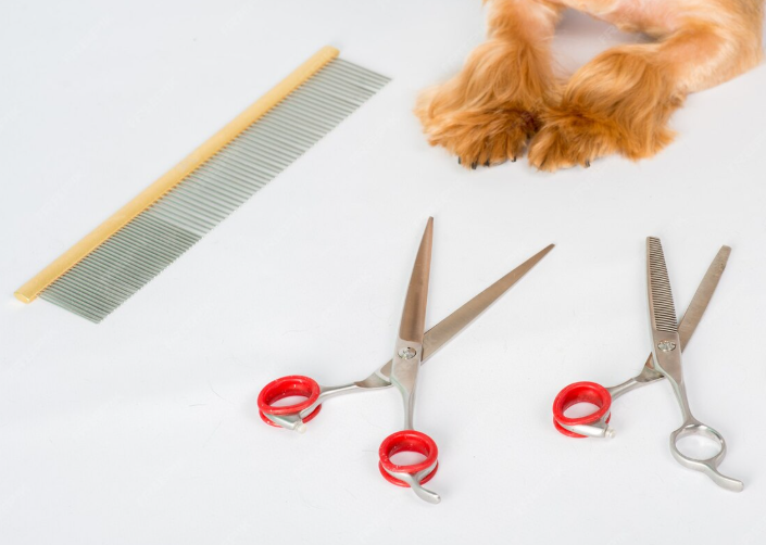 While You Wait Grooming/Barber Shear Sharpening 