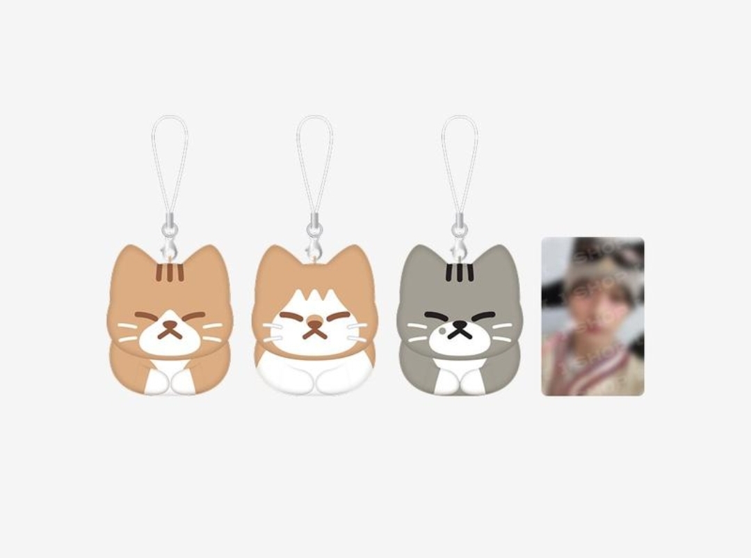 [READY STOCK] CELEBRATE SOON DOONG DORI KEYRING SET