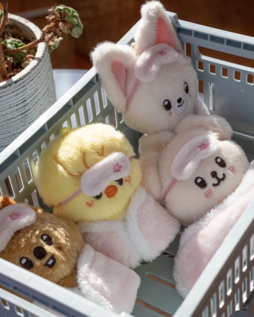 [PRE-ORDER ONLINE] STAY IN OUR LITTLE HOUSE - SKZOO PLUSH 10CM