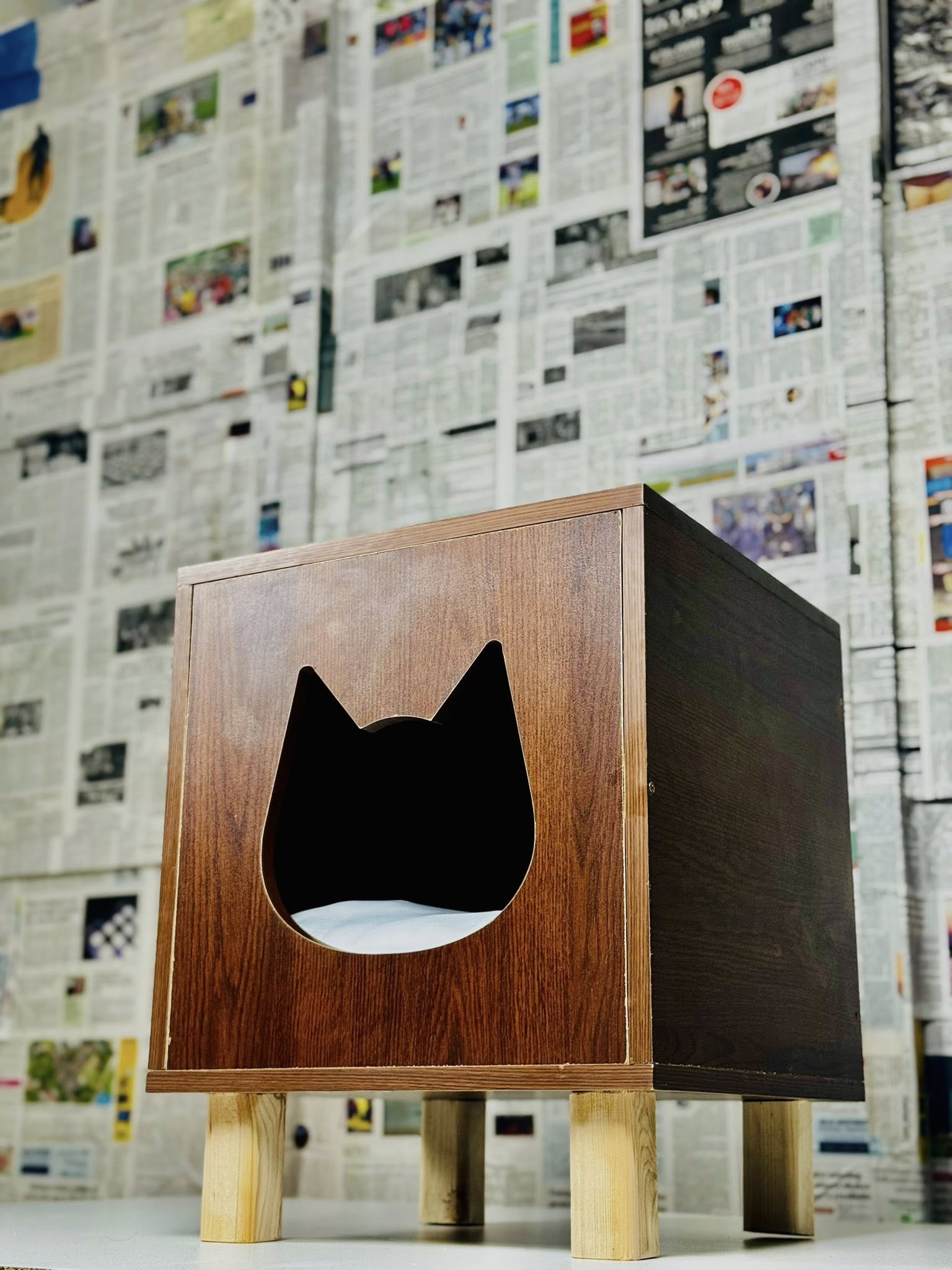 Cat House