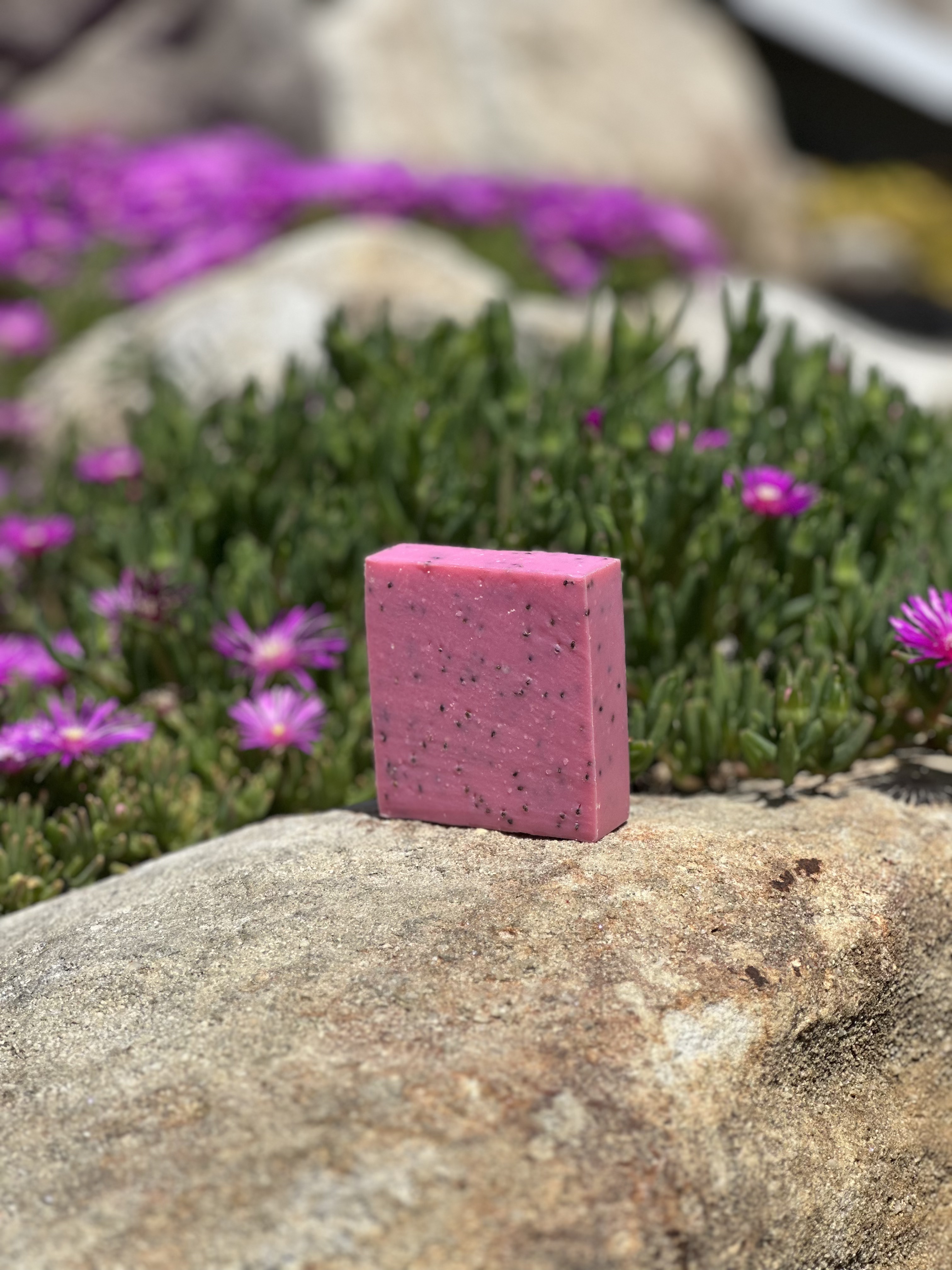 Kiwi Poppy Seed Bar