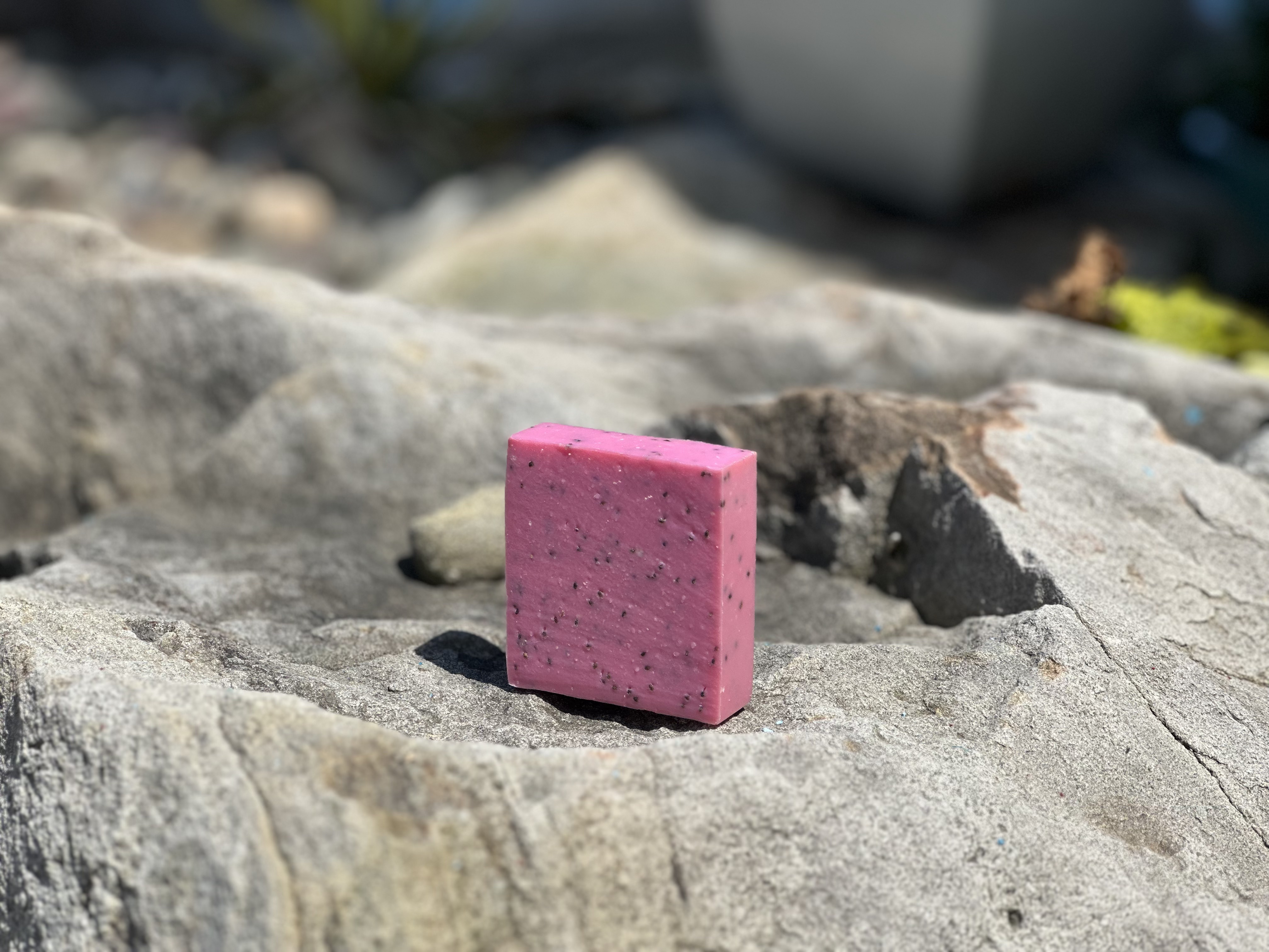Kiwi Poppy Seed Bar