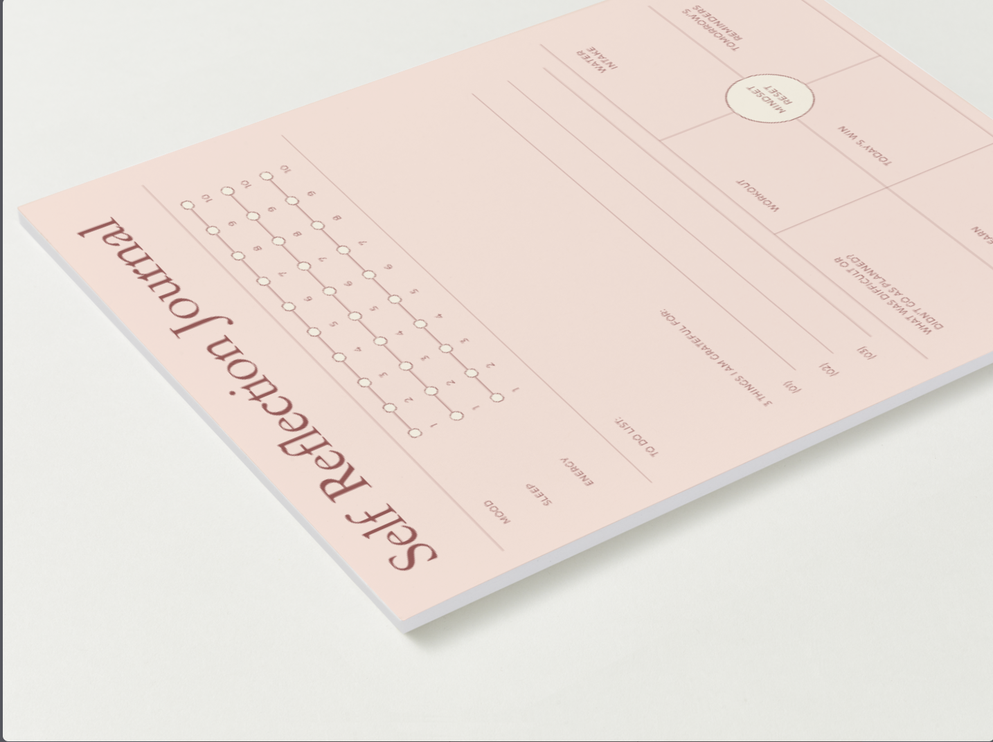 Daily Self Reflection Journal Notepad